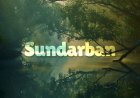 Sundarbans Trip Guide: Best Tips & Itinerary
