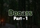 Explore Dooars (Part 1): Must Visit Spots & Travel Guide
