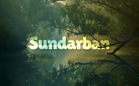 Sundarbans Trip Guide: Best Tips & Itinerary
