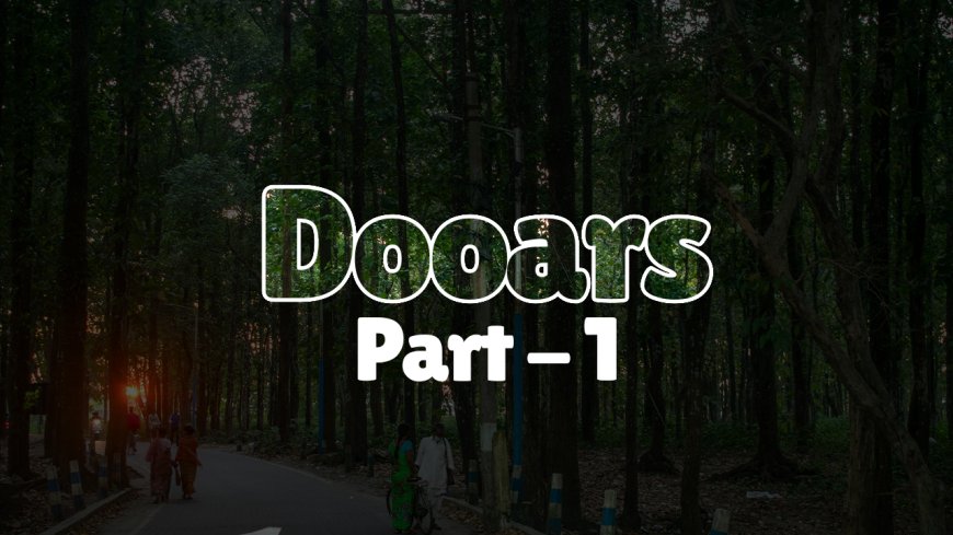 Explore Dooars (Part 1): Must Visit Spots & Travel Guide