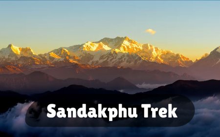 Sandakphu Trek: Everything You Need to Know Before You Go