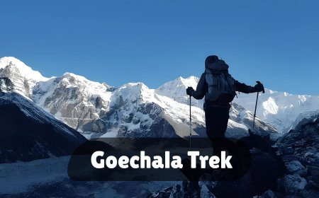 Goechala Trek Guide: Complete Itinerary, Permits, and Cost