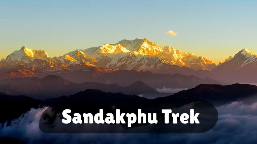 Sandakphu Trek: Everything You Need to Know Before You Go