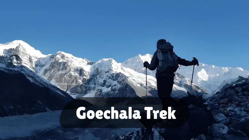Goechala Trek Guide: Complete Itinerary, Permits, and Cost